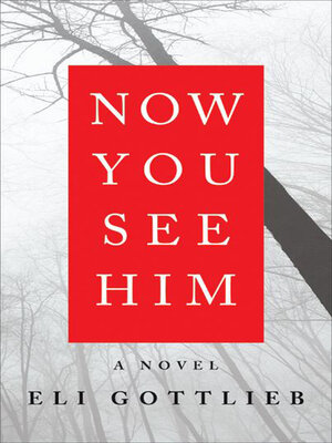 Now You See Him - ebook